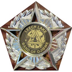 A star shaped award with a gold and black logo.