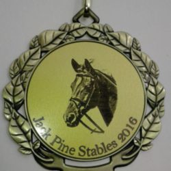 Gold medal with a horse head illustration and the text "Jack Pine Stables 2016" around the edge.