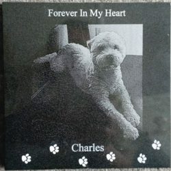 A memorial plaque with a photo of a dog, paw prints, and the text "Forever In My Heart Charles" at the top and bottom.